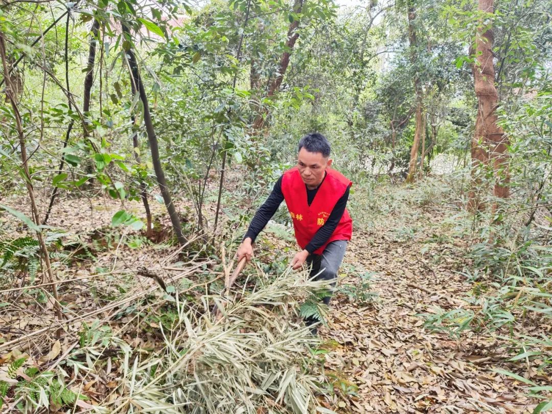 一个人，一辆车……看雨花这场人与森林的对话
