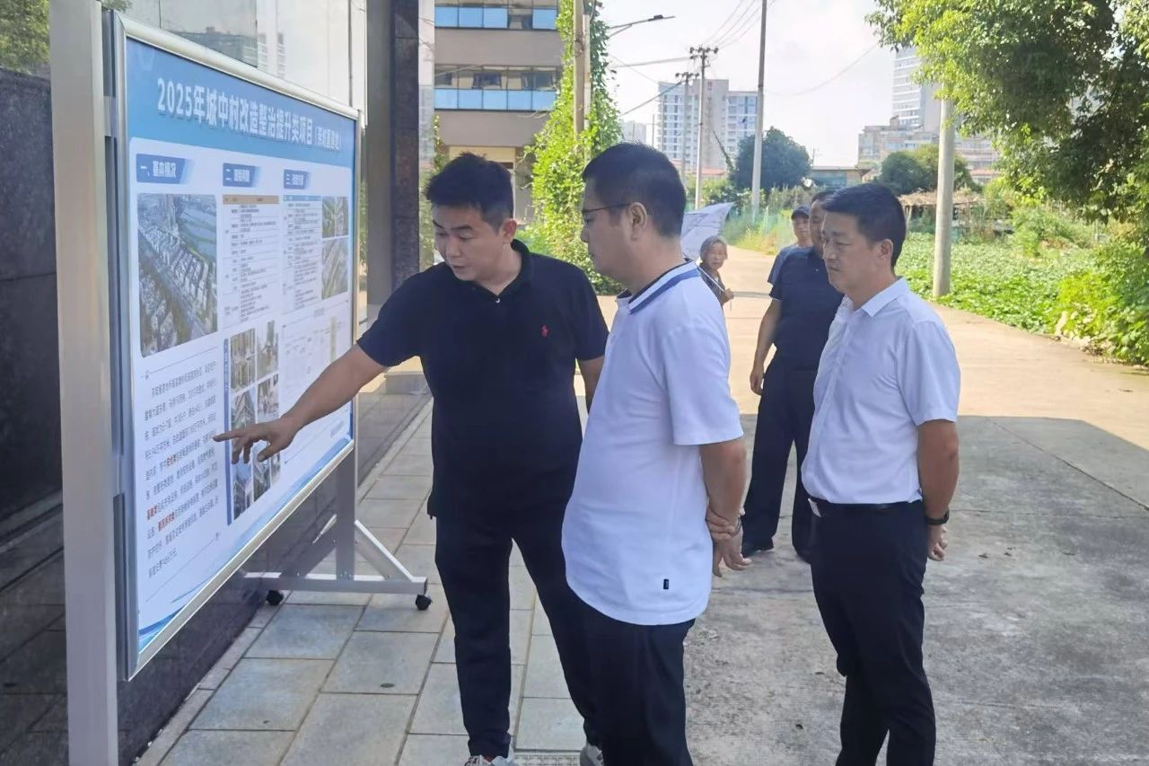 席超波调研全市城市更新工作