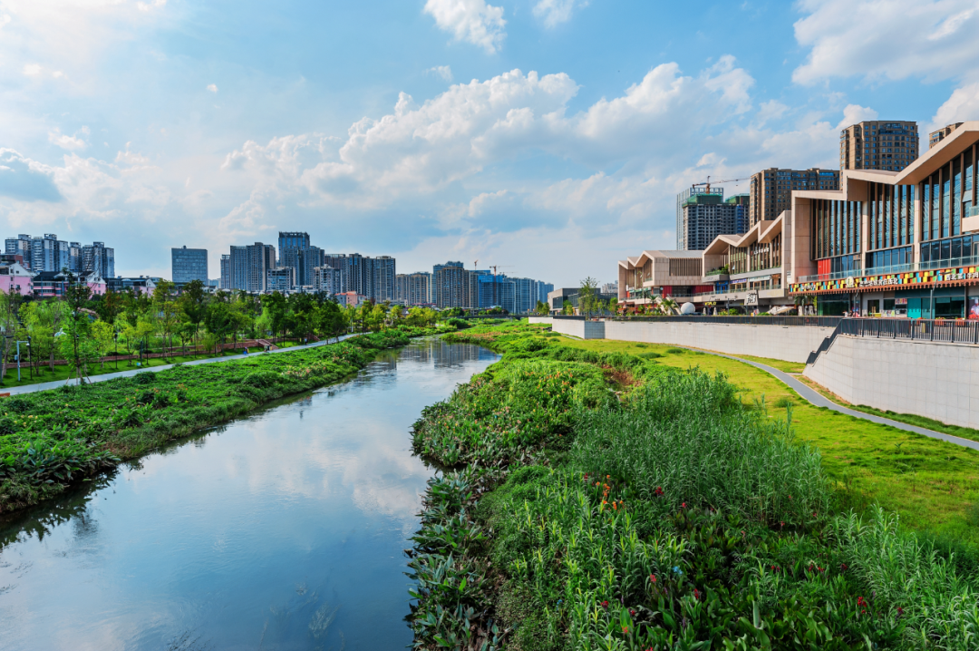 全国生态日！看长沙一条河流的“两山”答卷……