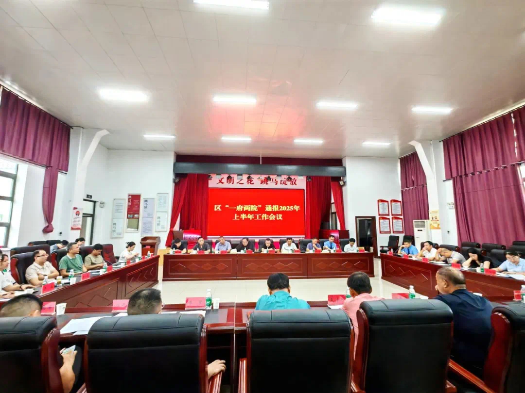 政民同心促振兴，共绘雨花新图景！2025年上半年雨花区“一府两院”工作通报会在跳马镇举行