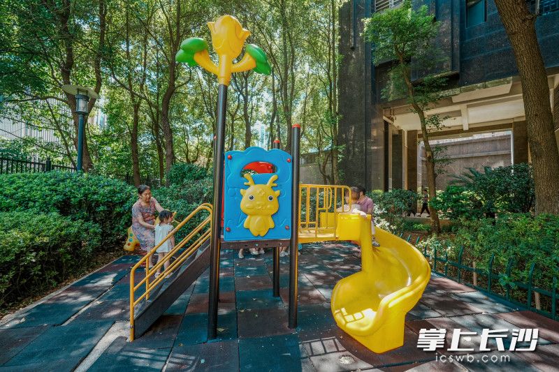 从“矛盾重重”到“和乐融融”，雨花区这个小区有个“红色业委会”