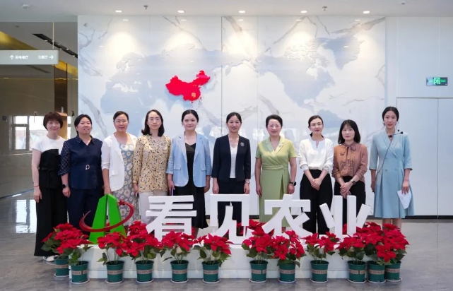 省妇联党组成员、副主席陈艳英一行调研雨花区“三新”妇联组织建设工作